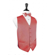 Venetian Wedding Prom Tuxedo Vest and Tie Set